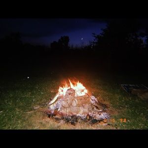 Meet your Posher, Audrey